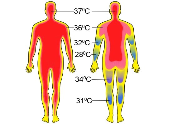 πόσο είναι η φυσιολογική θερμοκρασία του σώματος