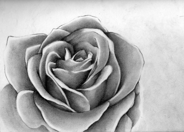 Πώς να ζωγραφίσετε ένα τριαντάφυλλο
