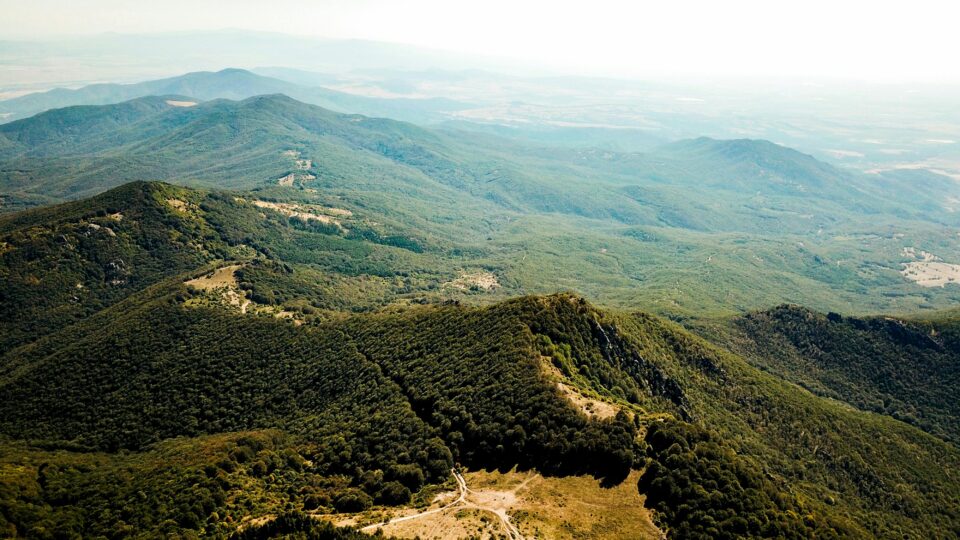 Από τις παραδόσεις στις τάσεις: Πώς οι βουλγαρικές χειροτεχνίες μετατρέπονται σε μια σύγχρονη επιχείρηση